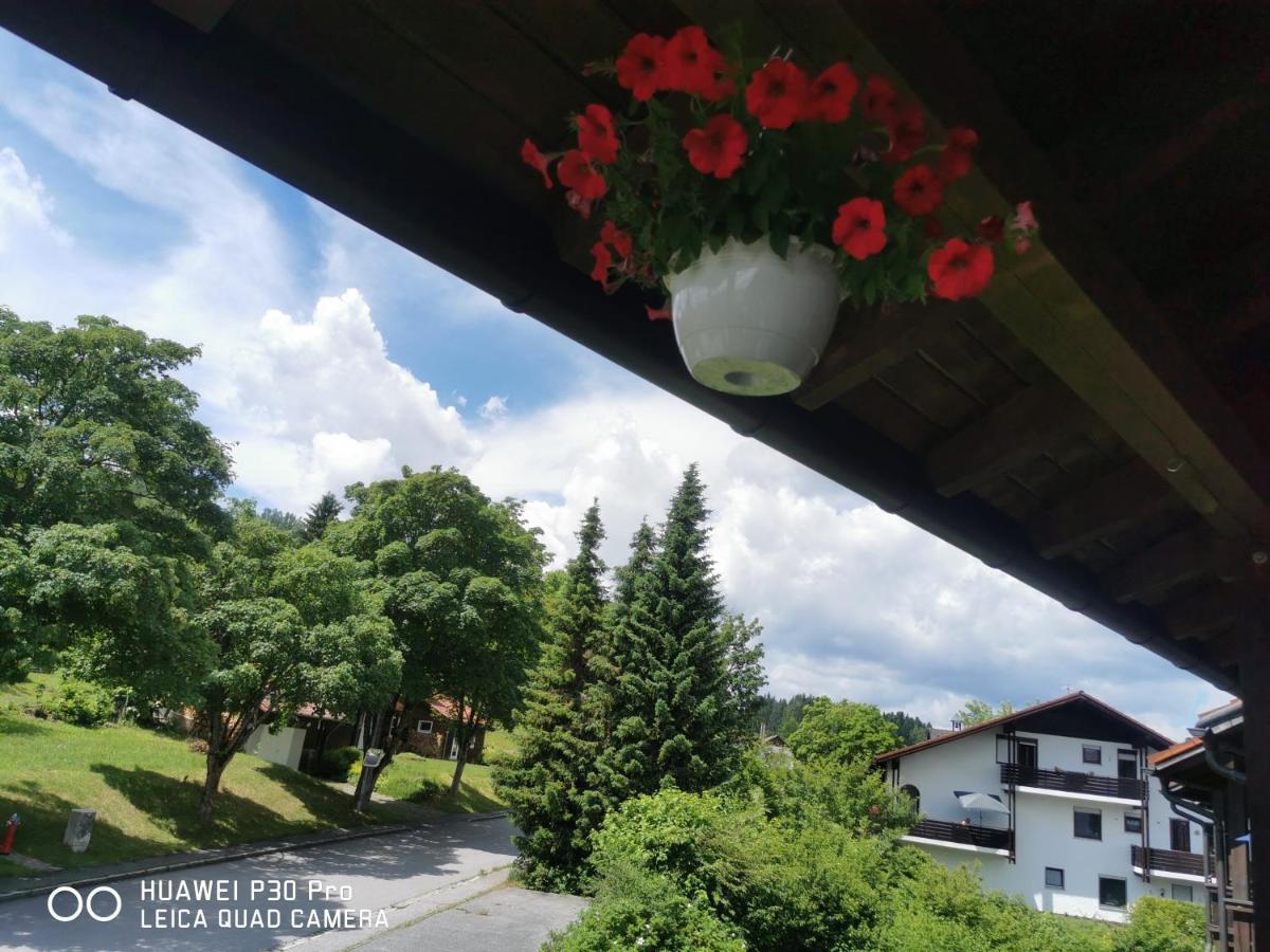 Aparthotel Chrysantihof - Bayerische Wald-Weber Цвізель Екстер'єр фото